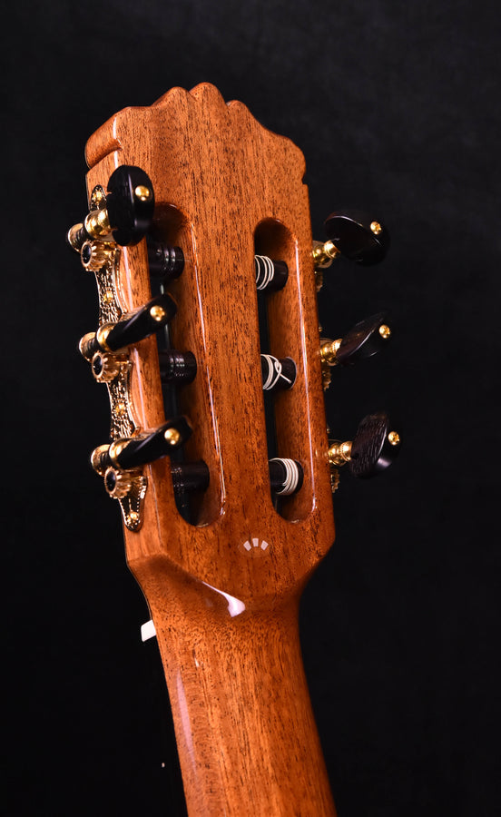 Cordoba C12 European Spruce top Classical with case