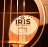 Used Iris OG Sunburst Acoustic Guitar