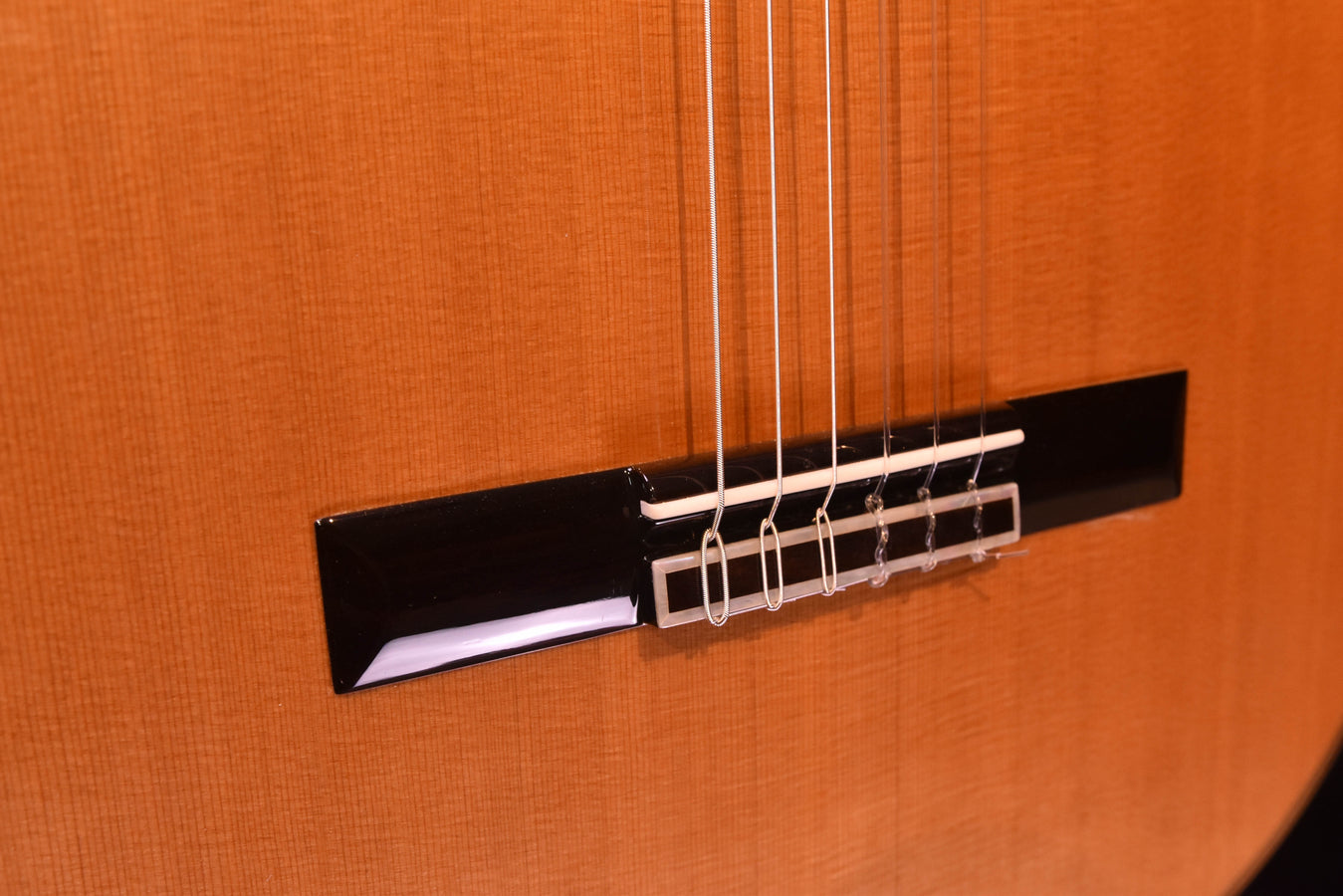 Cordoba C10 Cedar Top Classical Guitar with Case