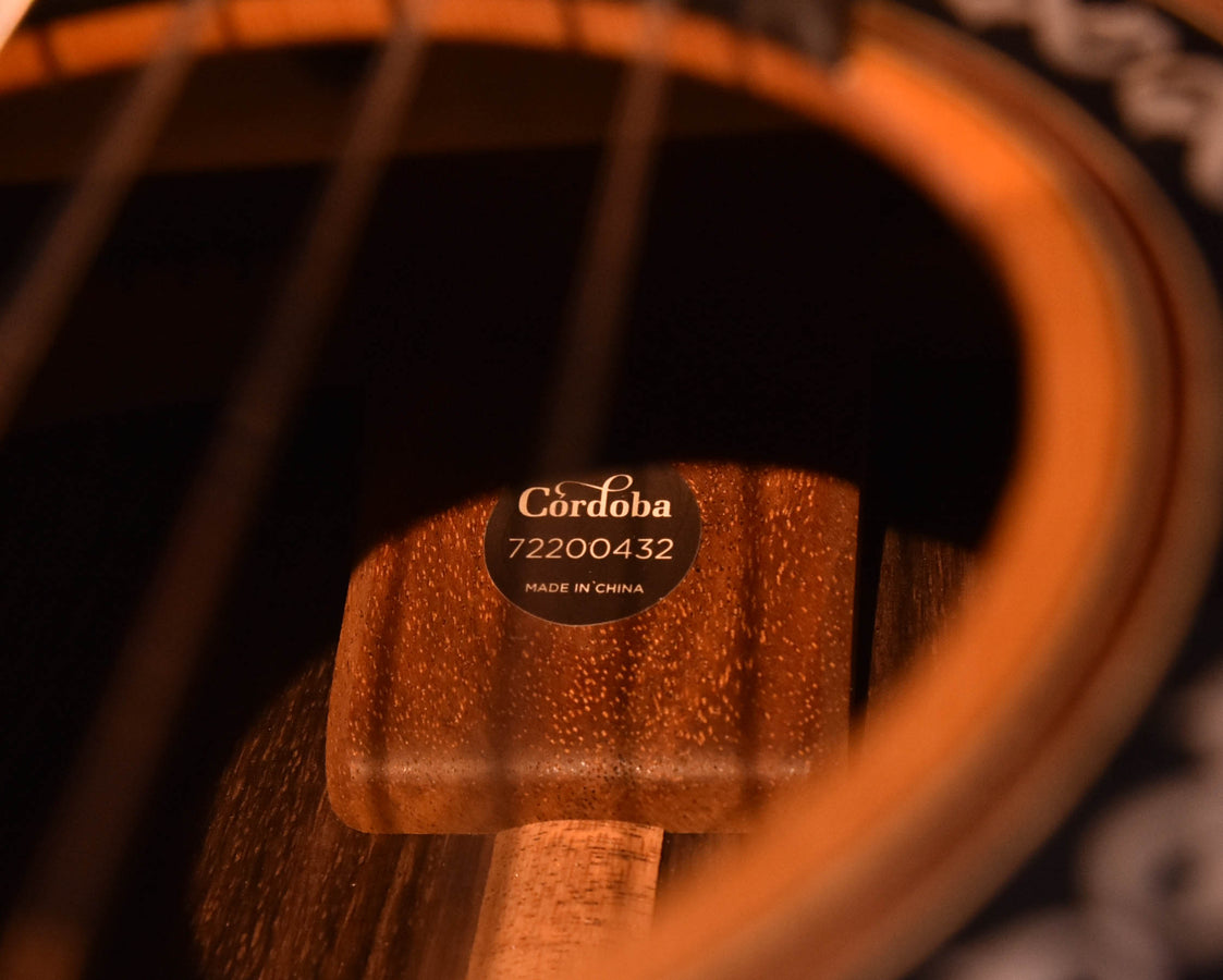 Cordoba C10 Cedar Top Classical Guitar with Case