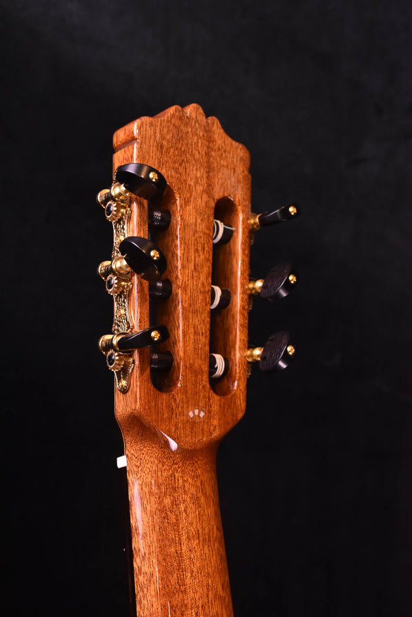 Cordoba C10 Cedar Top Classical Guitar with Case