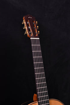 cordoba c12 cedar top classical guitar with case