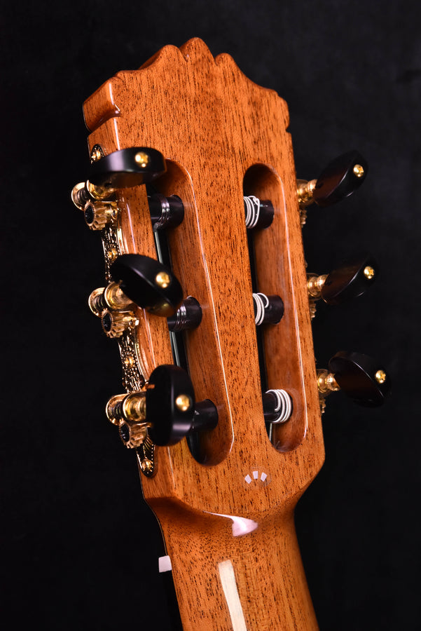 Cordoba C12 Cedar top Classical guitar with case