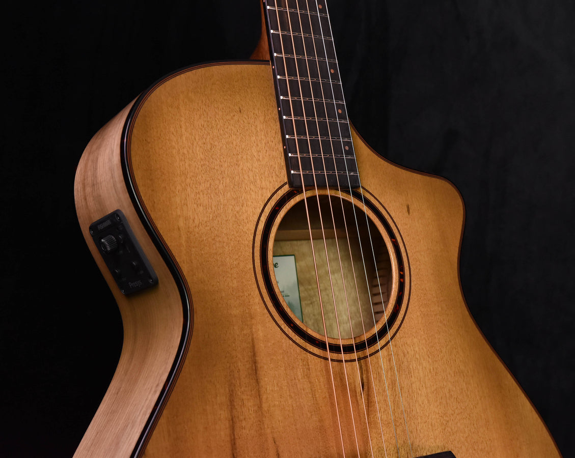 Akustische Gitarre mit Cutaway, Nahansicht Schallloch und Griffbrett mit Bundstäbchen