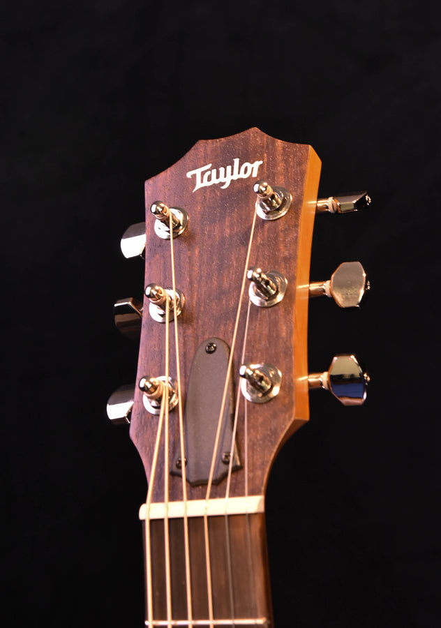 Rosewood Plus guitar headstock with six tuning pegs and “Taylor” logo on dark wood