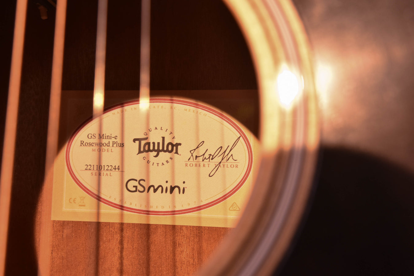 GS Mini-E label sticker with model and serial text on guitar top