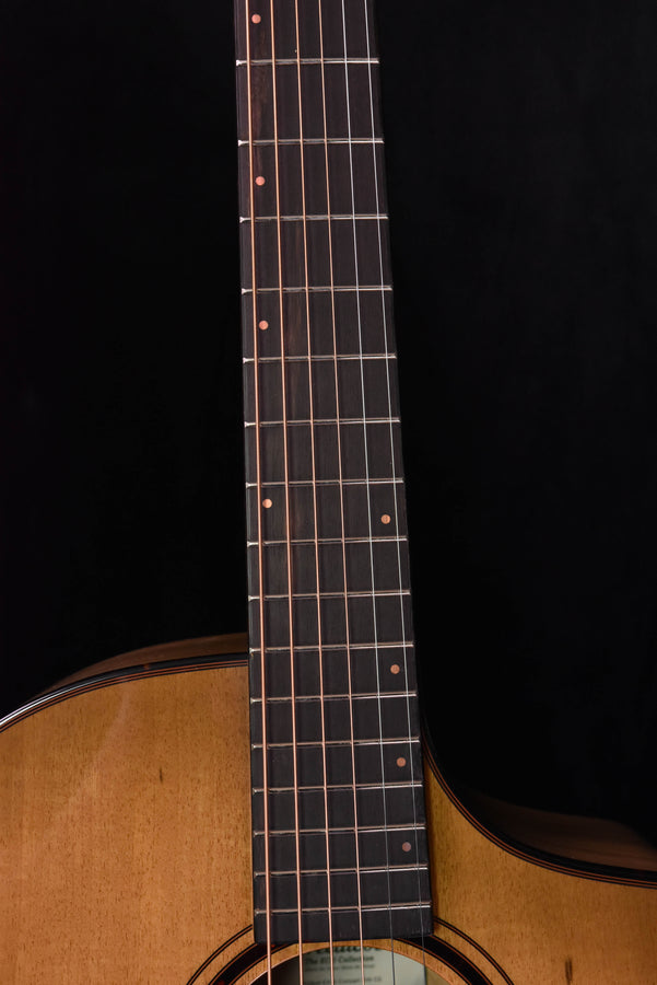Gitarrenhals mit Bundstäbchen, Teilansicht Schallloch und Korpus