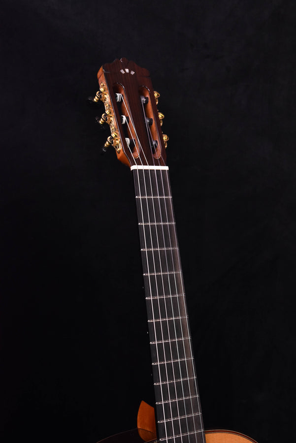 Cordoba C10 Cedar Top Classical Guitar