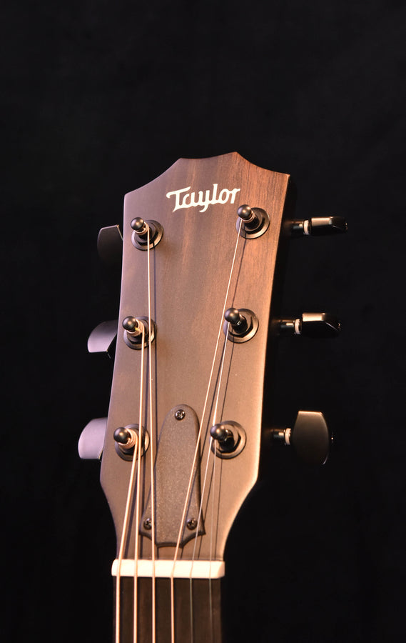 Taylor Akustikgitarre Kopfplatte mit Logo und Mechaniken