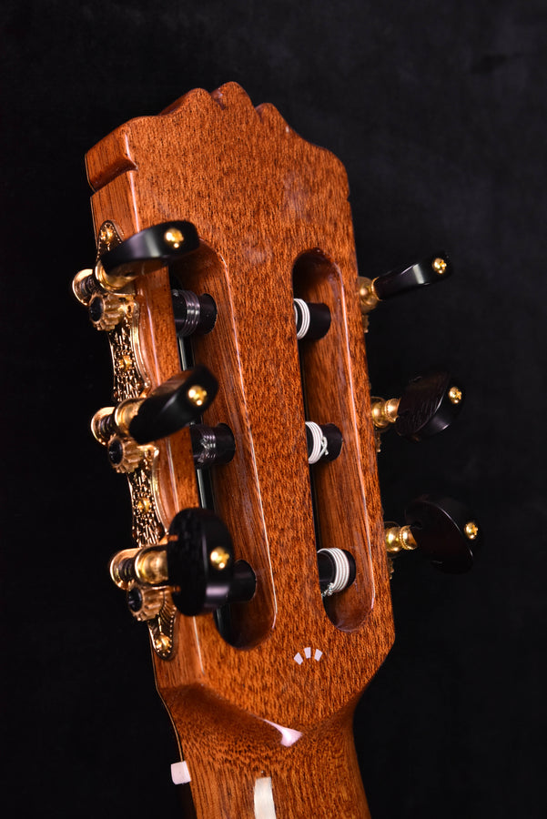 Cordoba C10 Cedar Top Classical Guitar
