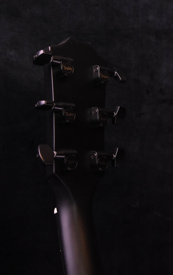 Acoustic guitar headstock and tuning pegs, dark finish