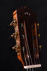 Cordoba C12 Cedar top Classical Guitar with case