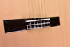 Cordoba C10 Spruce top Classical Guitar with case