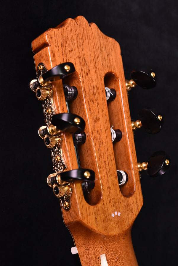 Cordoba C12 Cedar top Classical Guitar with case