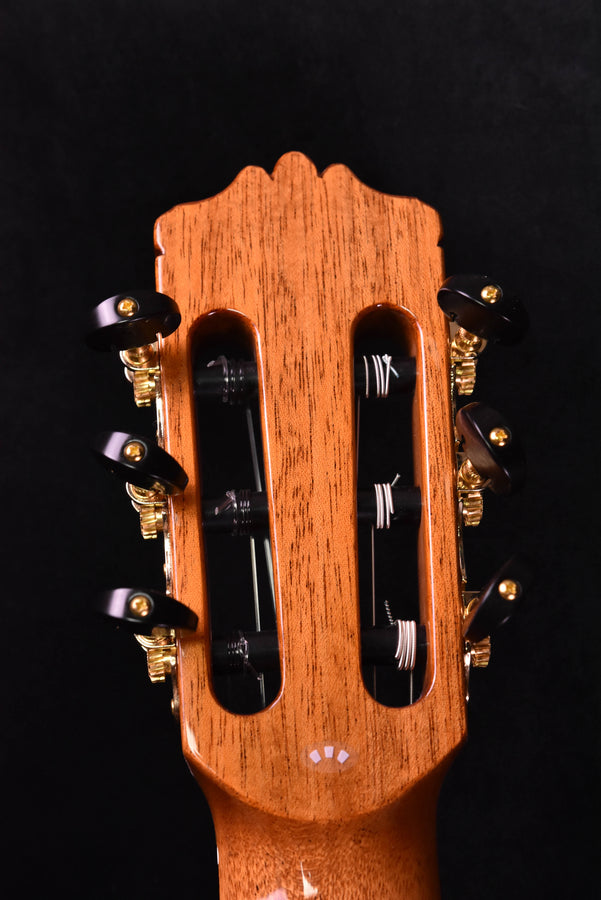 Cordoba C12 Cedar top Classical Guitar with case