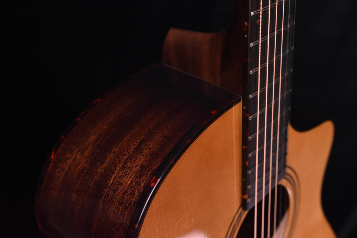 Breedlove Organic Performer Pro Concert Aged Toner CE European Spruce/Mahogany acoustic Electric Guitar