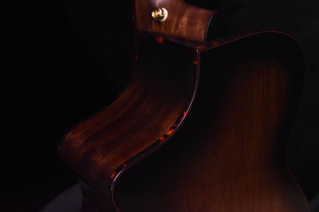 Breedlove Organic Performer Pro Concert Aged Toner CE European Spruce/Mahogany acoustic Electric Guitar