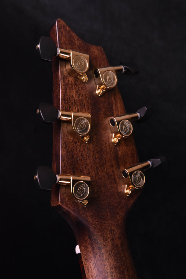 Breedlove Organic Performer Pro Concert Aged Toner CE European Spruce/Mahogany acoustic Electric Guitar