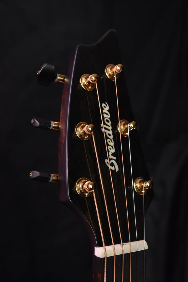 Breedlove Organic Performer Pro Concert Aged Toner CE European Spruce/Mahogany acoustic Electric Guitar