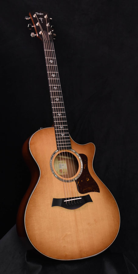 Taylor 512CE Urban Ironbark & Sitka Spruce Acoustic Electric Guitar