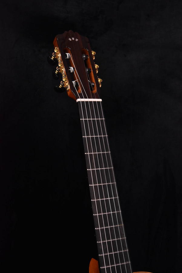 Cordoba C12 Cedar top Classical guitar with case