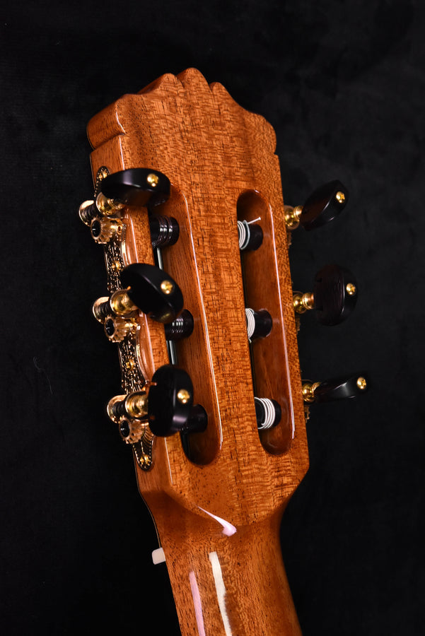 Cordoba C12 Cedar top Classical guitar with case