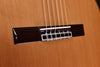 Cordoba C9 Classical Guitar Cedar Top Classical Guitar with  Case