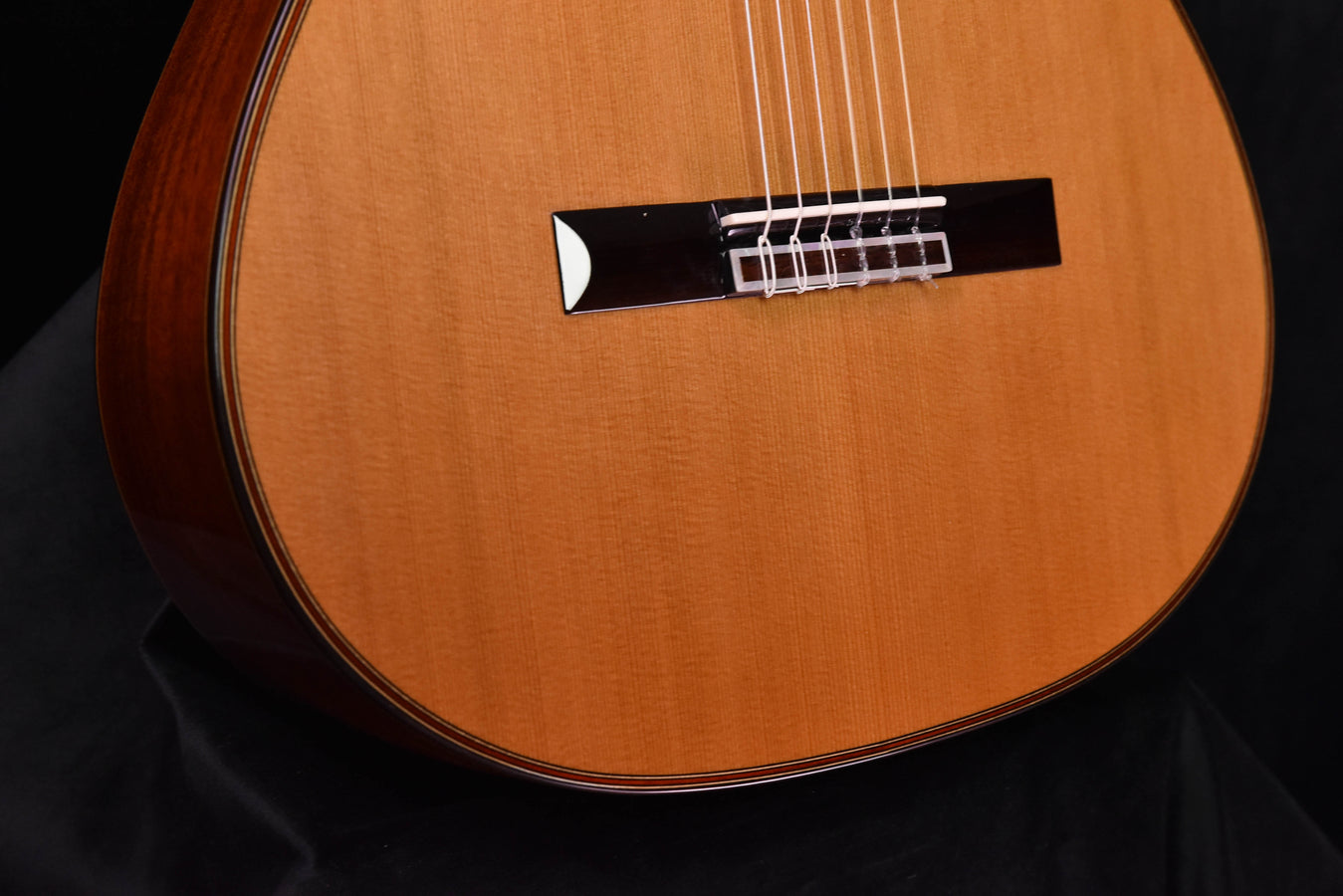 Cordoba C9 Parlor Cedar Top Classical Guitar with Case