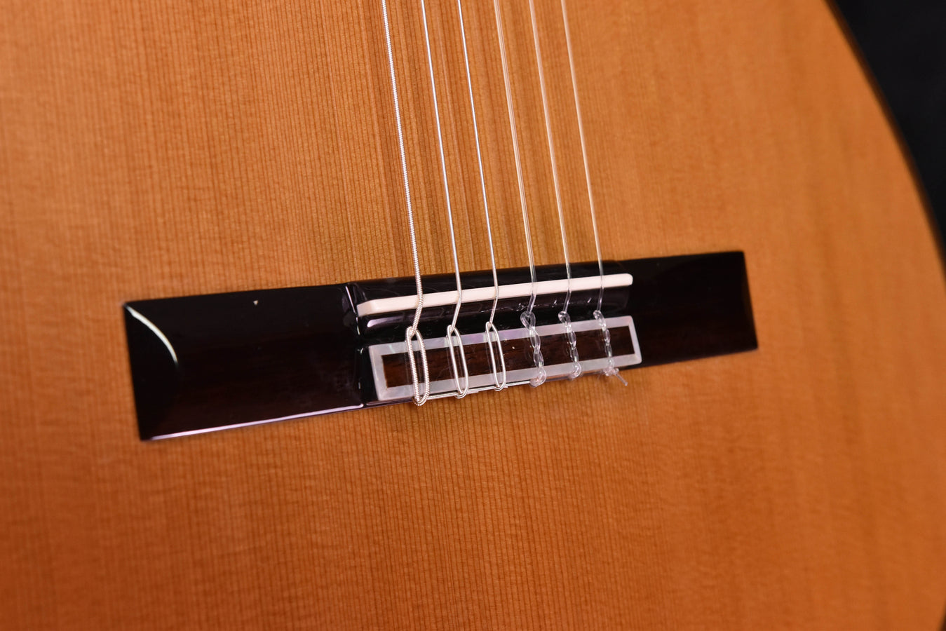 Cordoba C9 Parlor Cedar Top Classical Guitar with Case