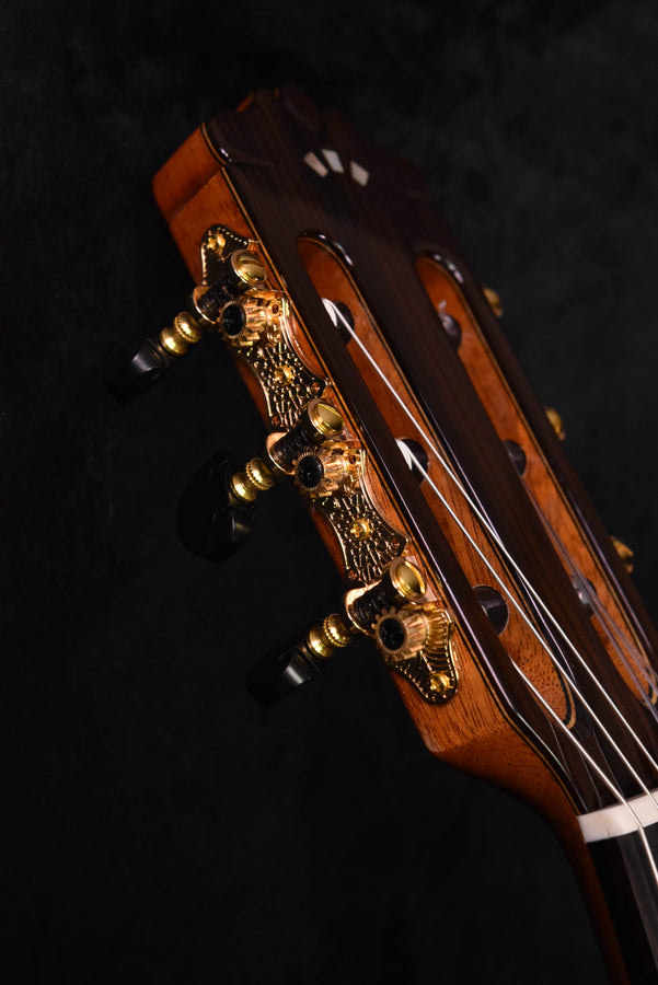 Cordoba C9 Parlor Cedar Top Classical Guitar with Case