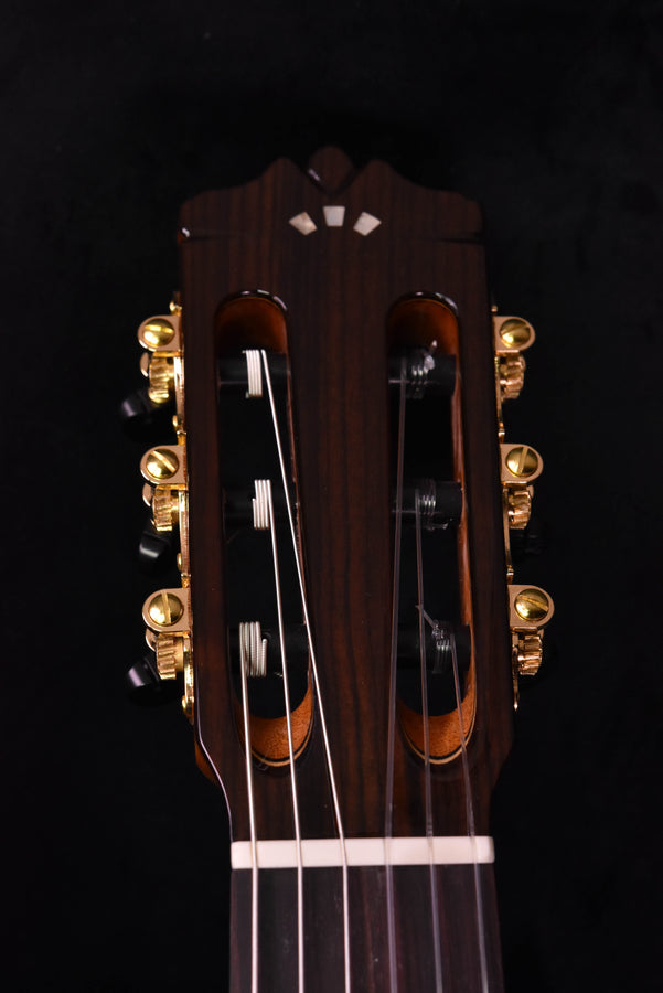 Cordoba C9 Parlor Cedar Top Classical Guitar with Case