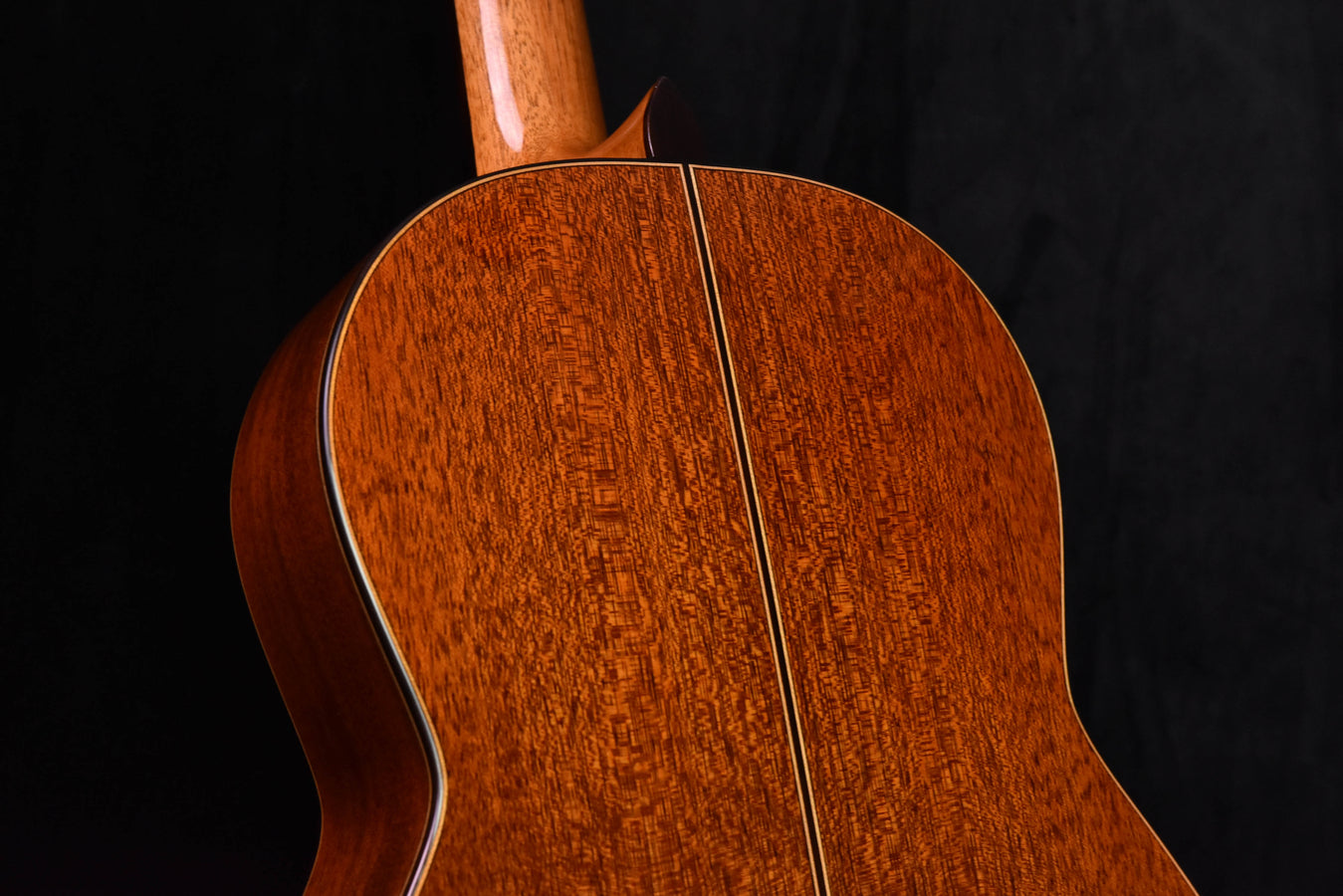 Cordoba C9 Parlor Cedar Top Classical Guitar with Case