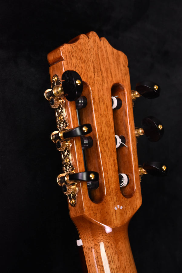 Cordoba C9 Parlor Cedar Top Classical Guitar with Case