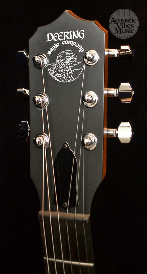 Deering Boston B-6  6 string Guitar Banjo!