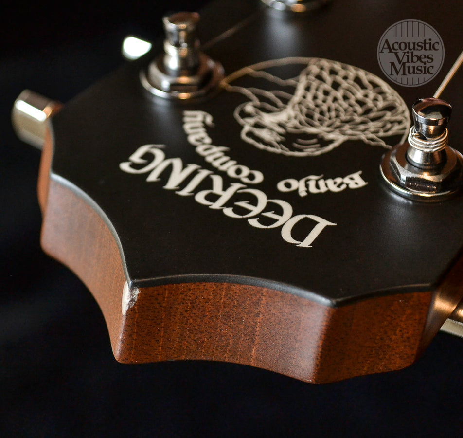 Deering Boston B-6  6 string Guitar Banjo!