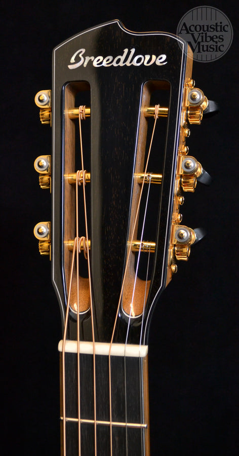Breedlove Masterclass Parlor Brazilian Exclusive (Discontinued)