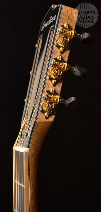 Breedlove Masterclass Parlor Brazilian Exclusive (Discontinued)