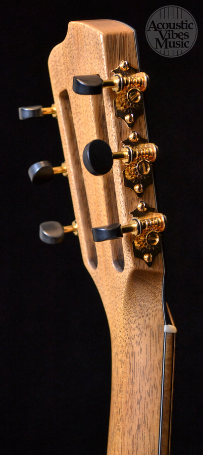 Breedlove Masterclass Parlor Brazilian Exclusive (Discontinued)