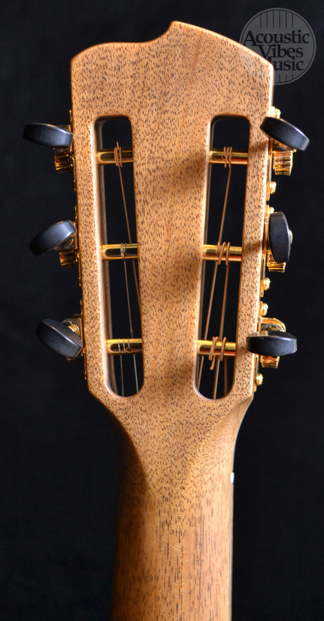 Breedlove Masterclass Parlor Brazilian Exclusive (Discontinued)