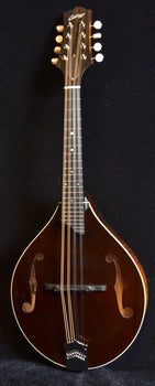 collings mt mandolin gloss sheraton brown top ivoroid binding- standard nut width