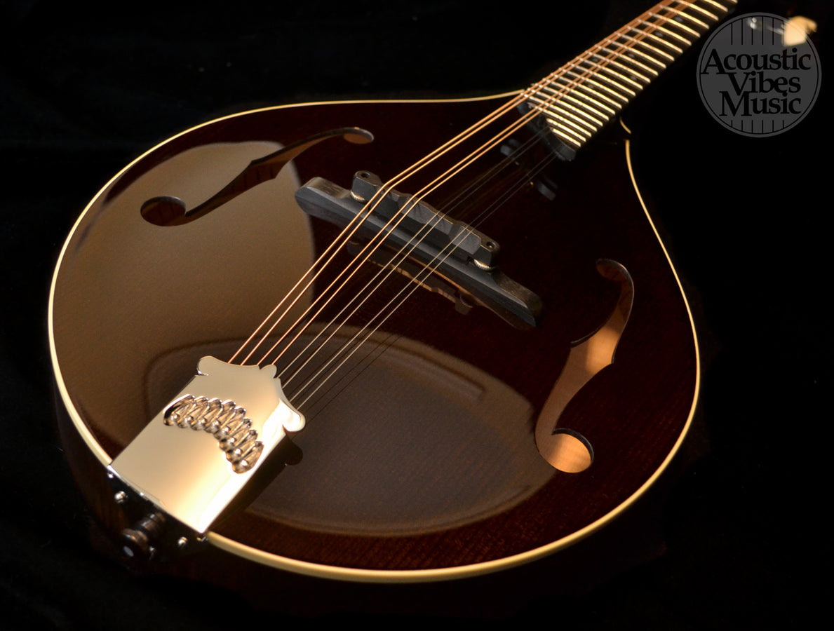 Collings MT Mandolin Gloss Sheraton Brown Top Ivoroid Binding- Standard Nut Width