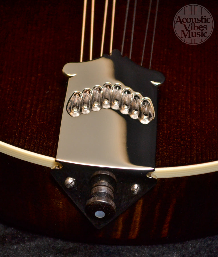 Collings MT Mandolin Gloss Sheraton Brown Top Ivoroid Binding- Standard Nut Width