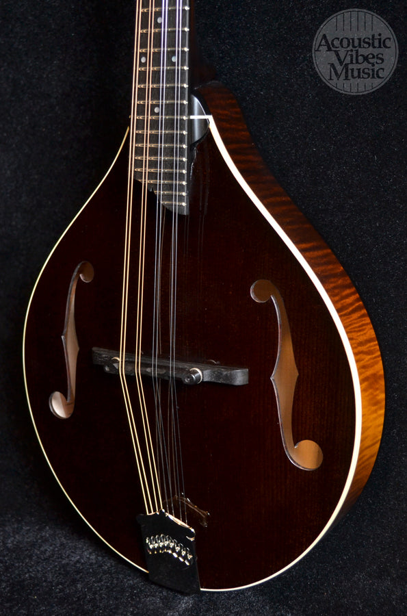 Collings MT Mandolin Gloss Sheraton Brown Top Ivoroid Binding- Standard Nut Width