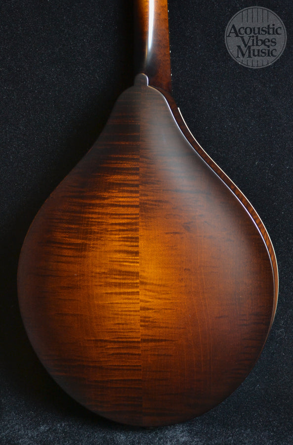 Collings MT Mandolin Gloss Sheraton Brown Top Ivoroid Binding- Standard Nut Width