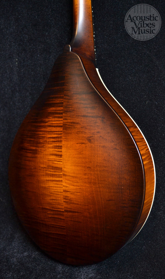 Collings MT Mandolin Gloss Sheraton Brown Top Ivoroid Binding- Standard Nut Width