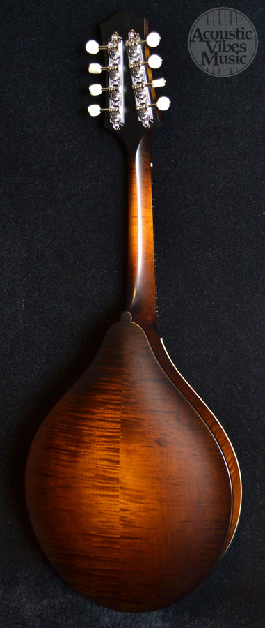 Collings MT Mandolin Gloss Sheraton Brown Top Ivoroid Binding- Standard Nut Width