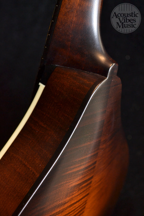 Collings MT Mandolin Gloss Sheraton Brown Top Ivoroid Binding- Standard Nut Width