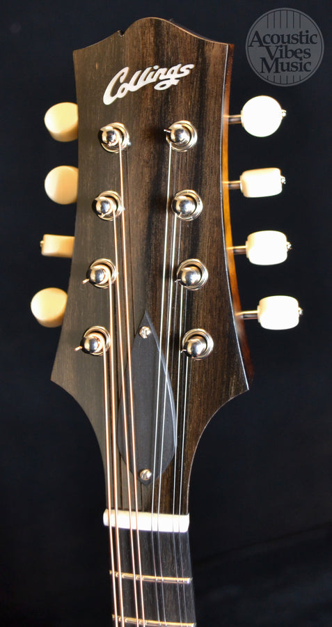 Collings MT Mandolin Gloss Sheraton Brown Top Ivoroid Binding- Standard Nut Width